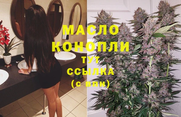 тгк Михайлов