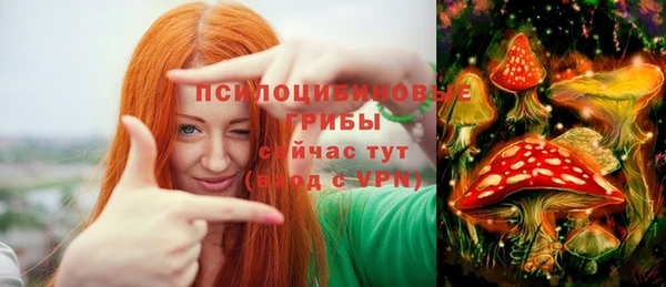 ГАЛЛЮЦИНОГЕННЫЕ ГРИБЫ Михайловка