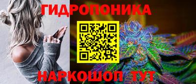 гашик Аргун