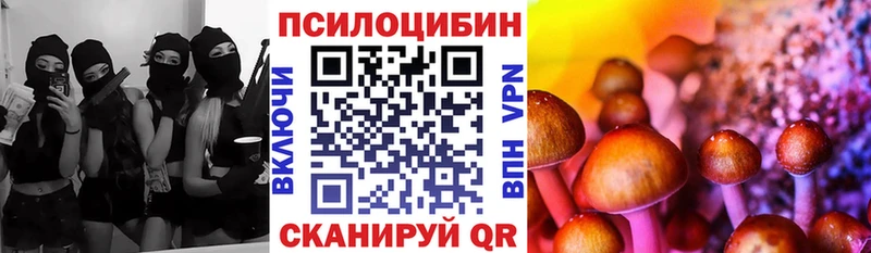 закладки  Карачаевск  Псилоцибиновые грибы прущие грибы 