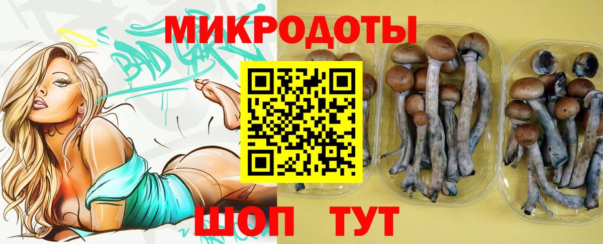 Галлюциногенные грибы Psilocybe  Вход с VPN  Карачаевск  Галлюциногенные грибы Magic Shrooms 