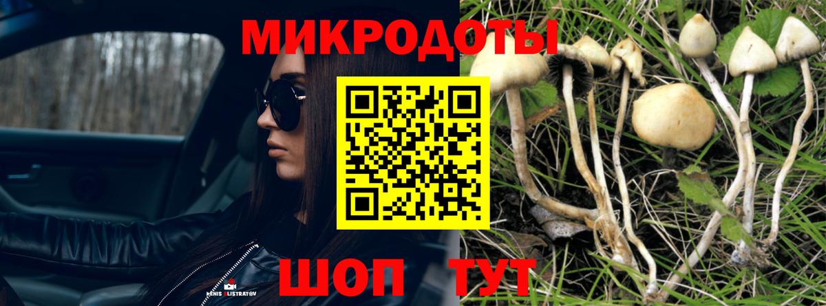 Псилоцибиновые грибы ЛСД Карачаевск