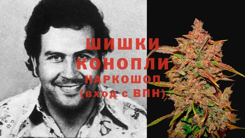 Канабис White Widow  закладки  omg   Карачаевск 